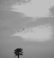 IMG_20150331_140546