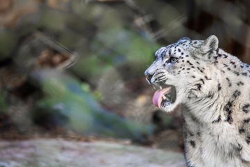 DSC_0934.jpg