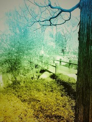 img01832_副本.jpg