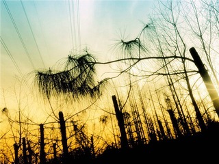 IMG01614_副本.jpg