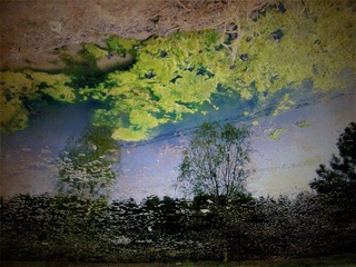 IMG01611_副本.jpg