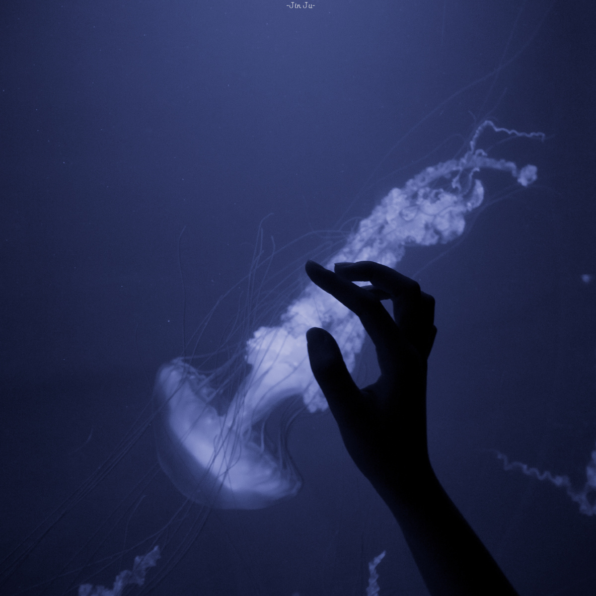 想要坠入深海里看悠闲游荡的鲸鱼