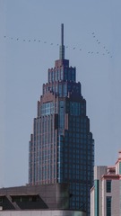 598526