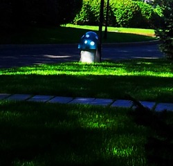 20140721_074937_1