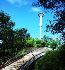20140721_072641_1