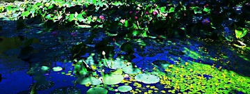 20140721_082642_2_1 - 