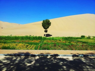 20120820_111919