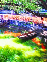 20140721_085040