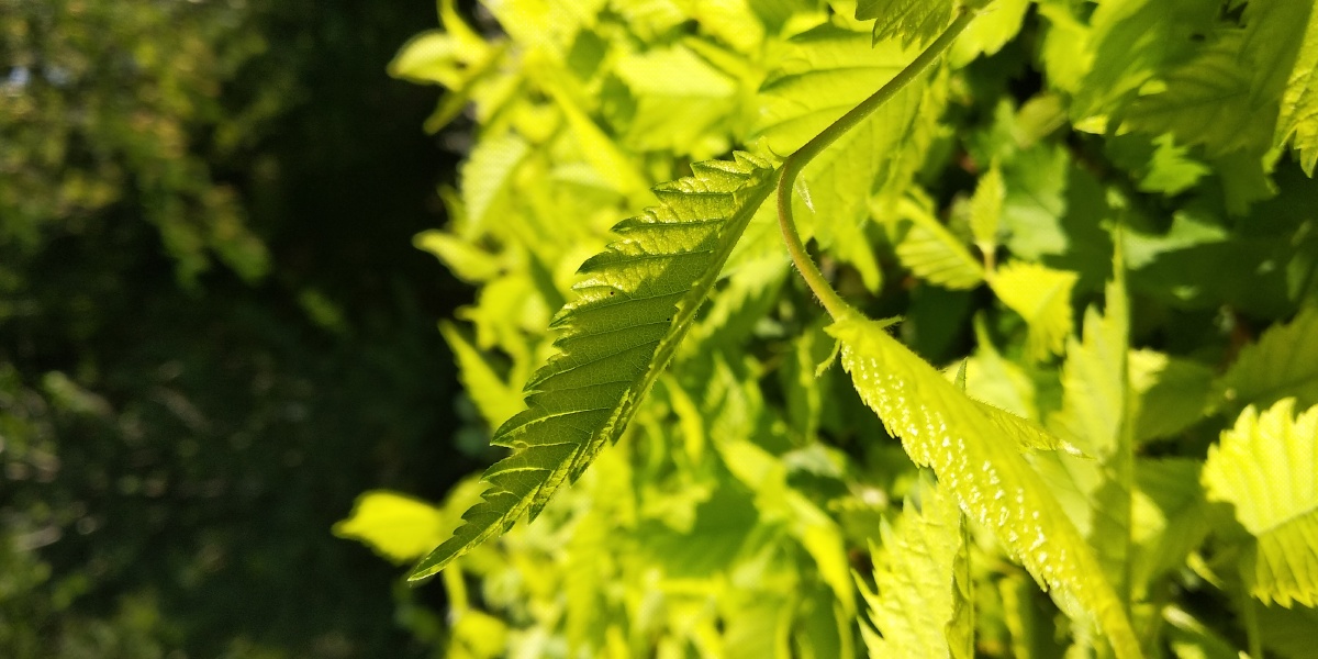 用户153855220773995