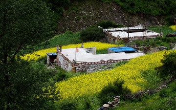 长平村民居2