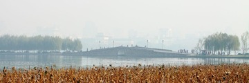 _MG_3301.JPG