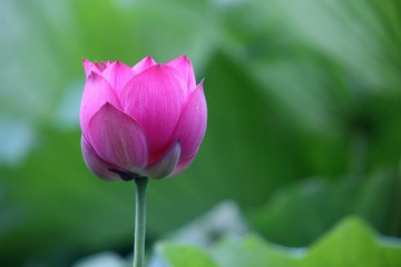 143A8838.JPG