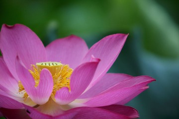 143A8857.JPG