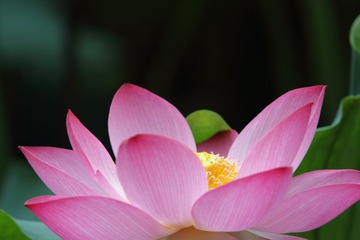 143A8879.JPG