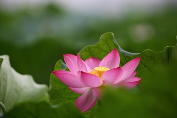 143A8894.JPG