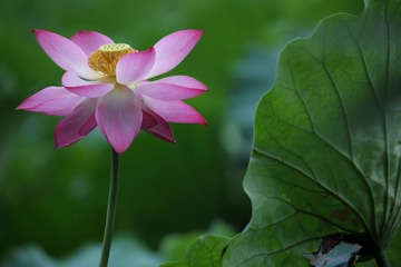 143A8897.JPG