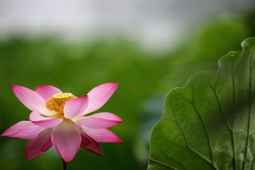 143A8898.JPG