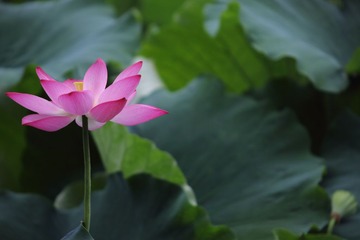 143A8906.JPG