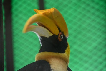 1270520