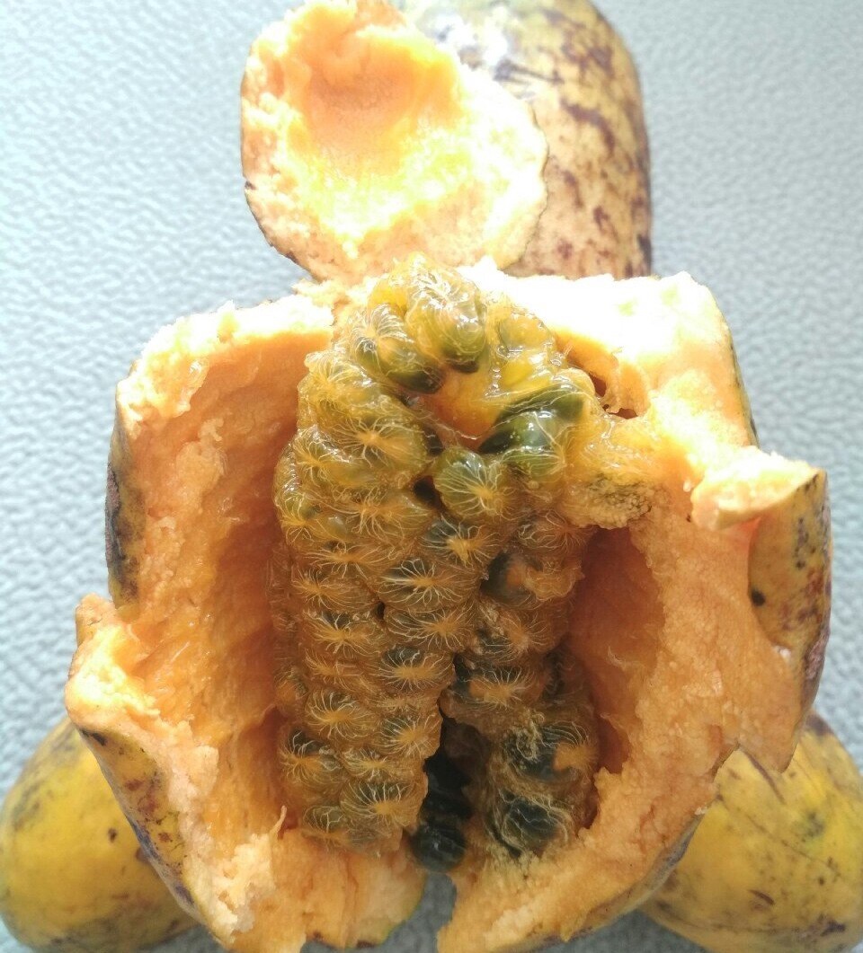 金禅什么时候出土