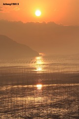 IMG_1288p