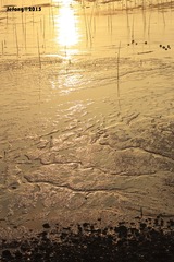 IMG_1295p