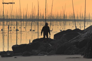 IMG_1316p