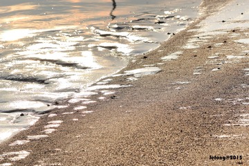 IMG_1330p