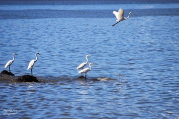 IMG_2402p