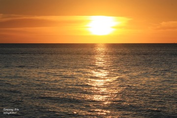 IMG_2575p