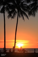 IMG_2579p