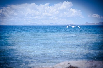 20130803-DSC_6946.jpg