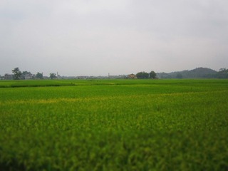 IMG_0783.JPG