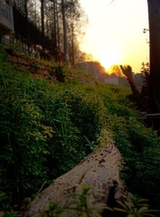 无标题_HDR5