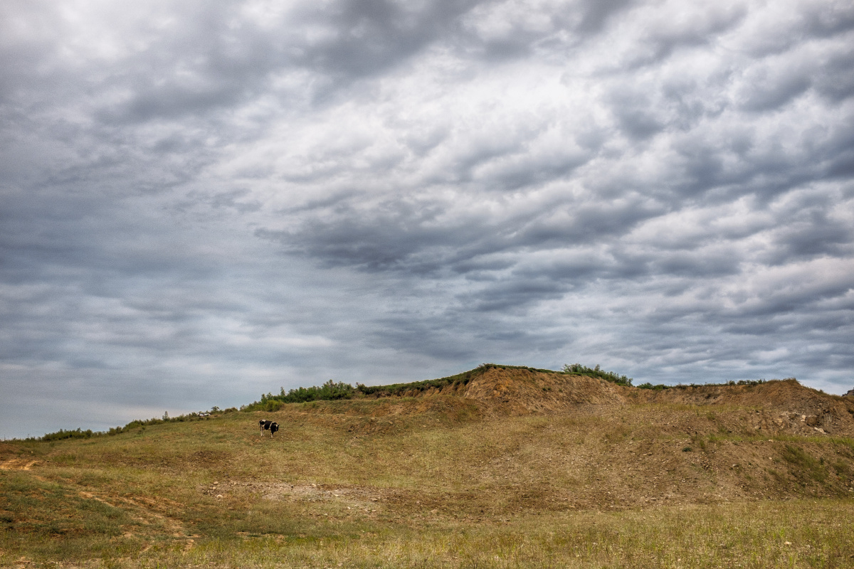 云彩也挺漂亮,就等放牛的过来跟牛互动了,结果那哥们儿在土坡后面斗