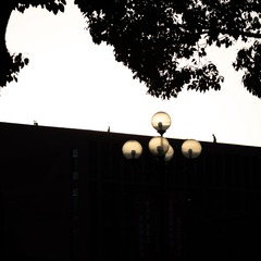 120060