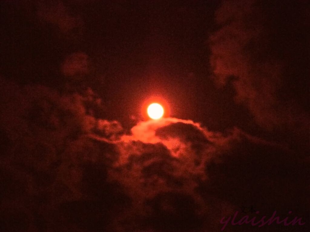 那天晚上有月食，我趴在窗户边上把相机调试了好久，终于拍下了这张红红的月亮，