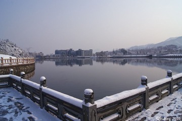 DSC02174.jpg