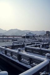 DSC02175.jpg