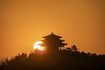 樱