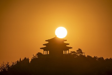 蜂