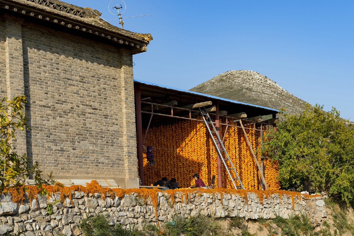 1,曹村镇隶属于陕西省渭南市富平县,地处富平县城北20公里处乔山山脉