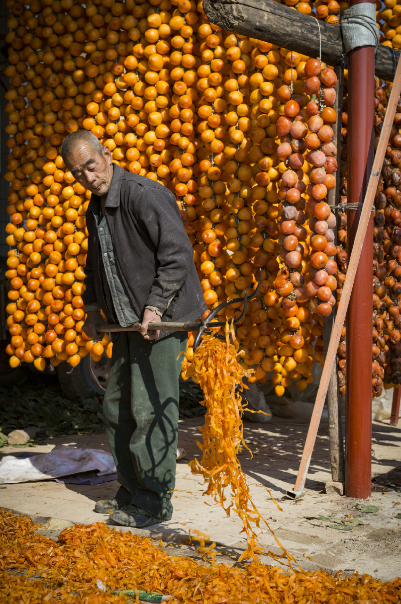 富平的柿子红了 - 汪涛摄影 - 图虫