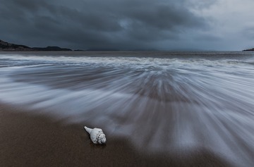 海殇