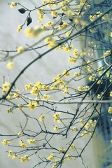 IMG_8506.jpg