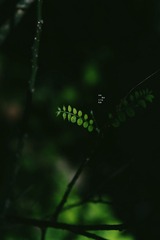 _2