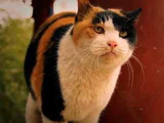 PB290034_DxO