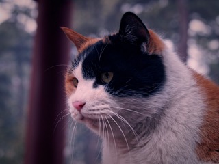 PB290053_DxO