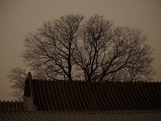 PB290154_DxO
