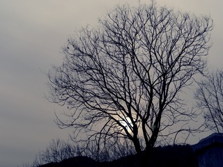 PC060237_DxO
